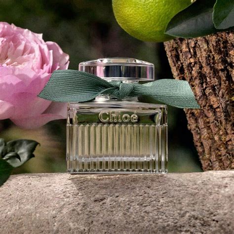 chloé rose naturelle intense fragrantica